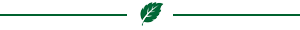 Menta